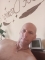 K_Roy75 - Hetero Férfi szexpartner Szolnok